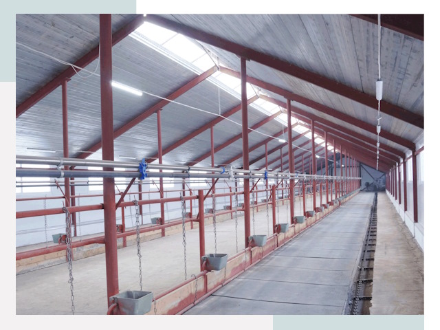 Строительство коровников в Дедовске от 660 руб.